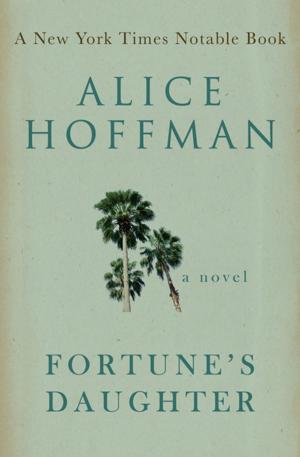 Cover of the book Fortune's Daughter by Stephen Becker