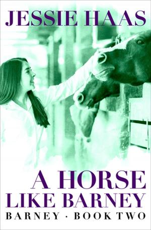 Cover of the book A Horse like Barney by Patrick Gale