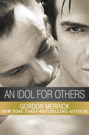 Cover of the book An Idol for Others by Elizabeth A. Lynn