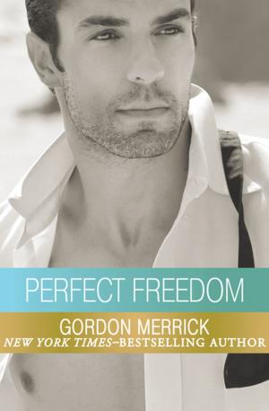Cover of the book Perfect Freedom by Dee Brown