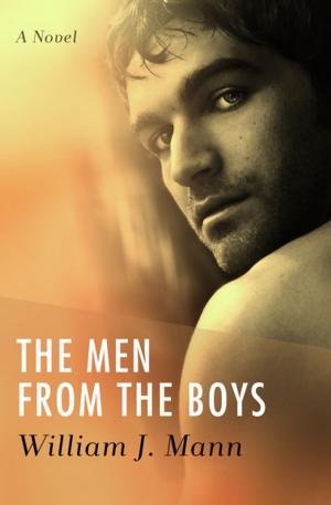 Book cover of The Men from the Boys