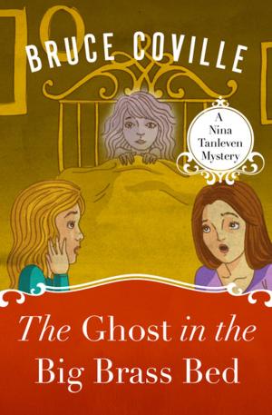 Cover of the book The Ghost in the Big Brass Bed by Rachael Wade