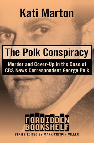 Book cover of The Polk Conspiracy