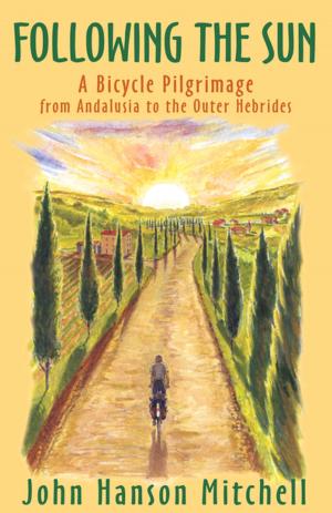 Cover of the book Following the Sun by Jo Ann Ferguson