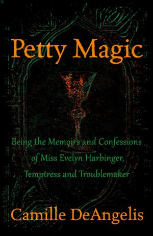 Cover of the book Petty Magic by Jo Ann Ferguson