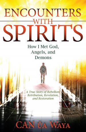 Cover of the book Encounters with Spirits: How I Met God, Angels, and Demons by Aaron Carey