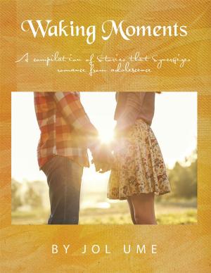 Cover of the book Waking Moments by Cali MacKay, Julie Farrell