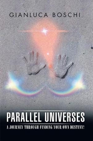 Cover of the book Parallel Universes by Howard Dimond
