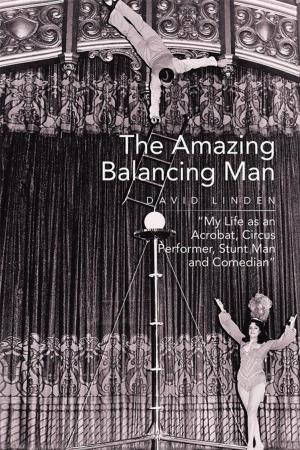 Book cover of The Amazing Balancing Man