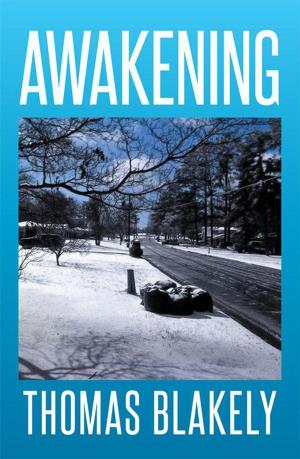 Cover of the book Awakening by Richard F. Davis