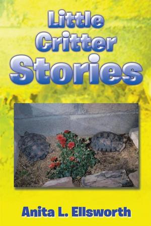 Cover of the book Little Critter Stories by Natha Sullivan