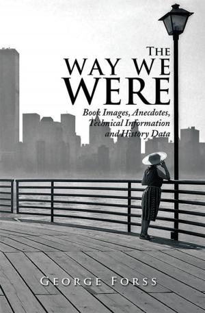 Cover of the book The Way We Were by Al Ferber