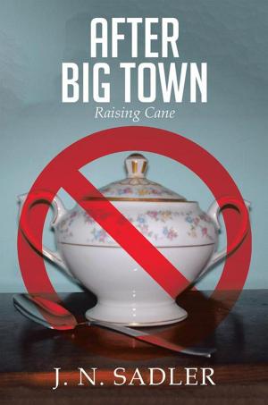 Book cover of After Big Town