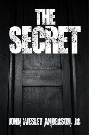 Cover of the book The Secret by Brian McDonnell