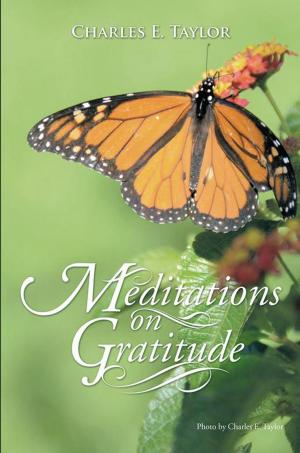 Cover of the book Meditations on Gratitude by Anthony W. Grillo