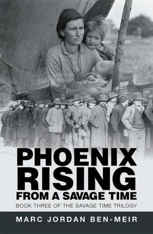 Cover of the book Phoenix Rising from a Savage Time by David van Wert