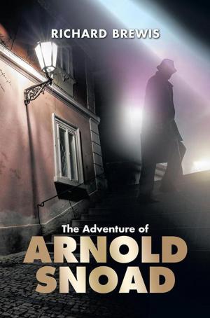 Cover of the book The Adventure of Arnold Snoad by Jake Rawkin