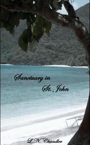Book cover of Sanctuary in St. John