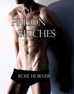 Book cover of Prison Bitches (Gay Prison BDSM Erotica)