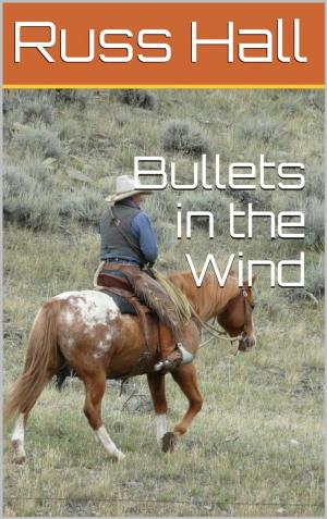 Cover of Bullets in the Wind