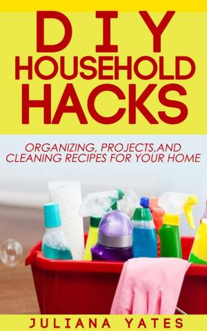 Cover of the book DIY Household Hacks: Organizing, Projects & Cleaning Recipes for your Home by Ashley Davis