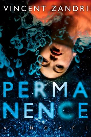 Book cover of Permanence: A Love and Death Story