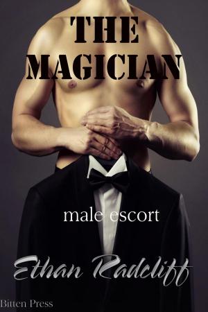 Cover of the book The Magician, (Male Escort) by Suzzana C Ryan