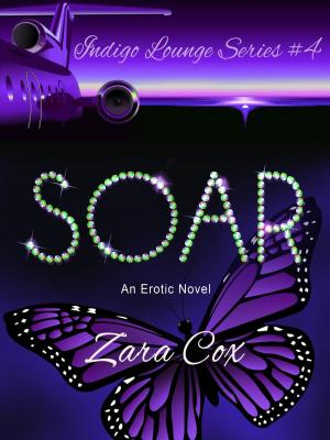 Book cover of Soar