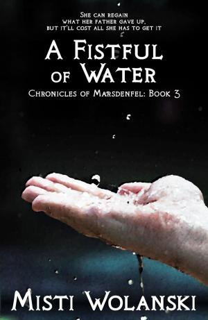 Cover of the book A Fistful of Water by Misti Wolanski