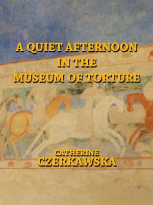 Book cover of A Quiet Afternoon in the Museum of Torture