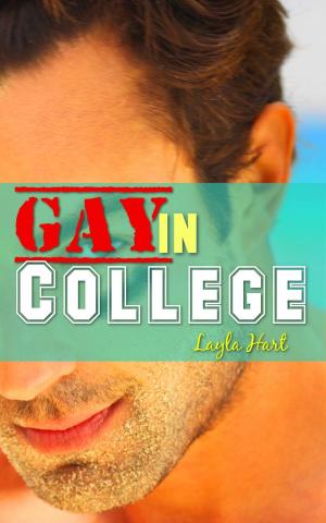 bigCover of the book Gay in College Bundle by 