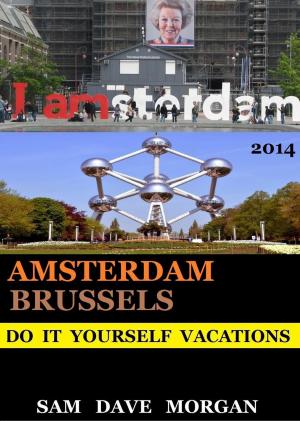 Book cover of Amsterdam and Brussels: Do It Yourself Vacations