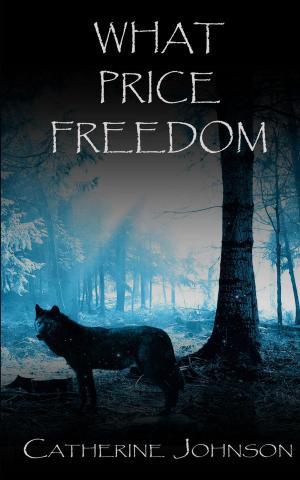 Cover of the book What Price Freedom by Lynda Hilburn