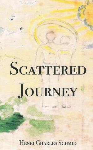 bigCover of the book Scattered Journey by 
