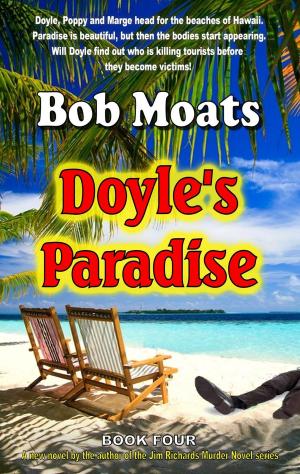 Cover of the book Doyle's Paradise by Bob Moats