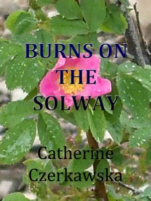Cover of the book Burns On The Solway by Carlton D Kennedy