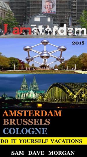 Book cover of Amsterdam , Brussels & Cologne: Do It Yourself Vacations