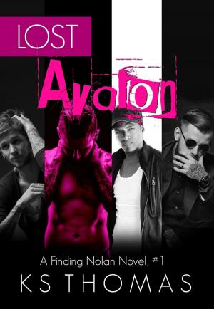Cover of Lost Avalon