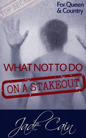 Book cover of What Not to Do on a Stakeout