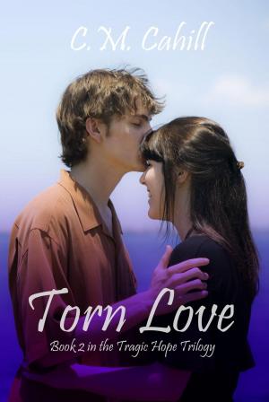 bigCover of the book Torn Love by 