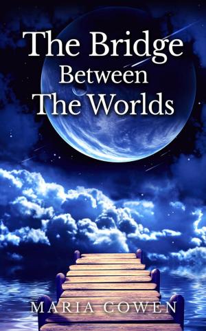Cover of the book Bridge Between the Worlds by Taylor Welch