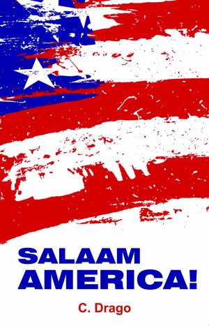 Cover of the book SALAAM AMERICA! by Ankita Masih