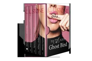 bigCover of the book Ghost Bird: The Academy Omnibus Part 1 by 