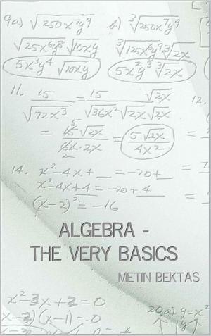 bigCover of the book Algebra - The Very Basics by 