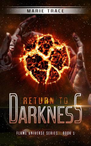 Cover of the book Return to Darkness by Connie Cockrell