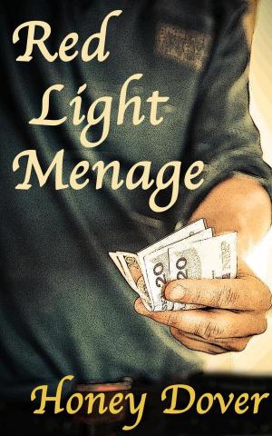 Cover of the book Red Light Menage by Cathy Ann Rogers
