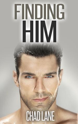 Book cover of Finding Him (Gay For You Romance)