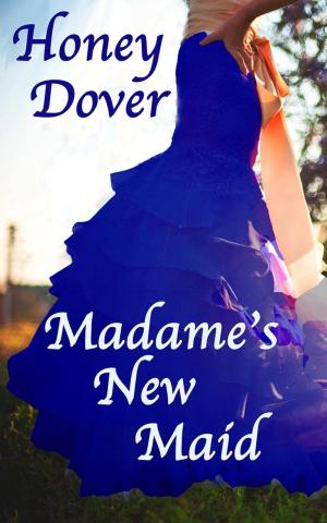 Book cover of Madame's New Maid