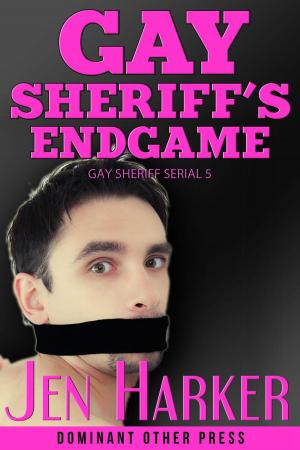 Book cover of Gay Sheriff's Endgame