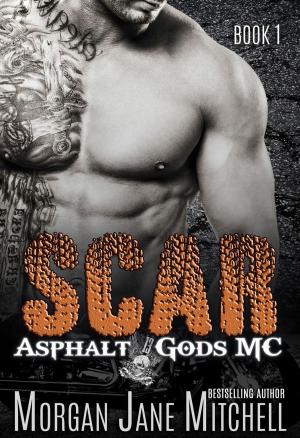 Cover of the book Scar by K.L. Nappier